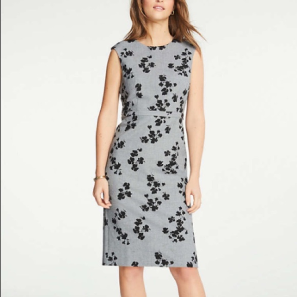 Ann Taylor Petite Floral Cap Sleeve Sheath Dress
